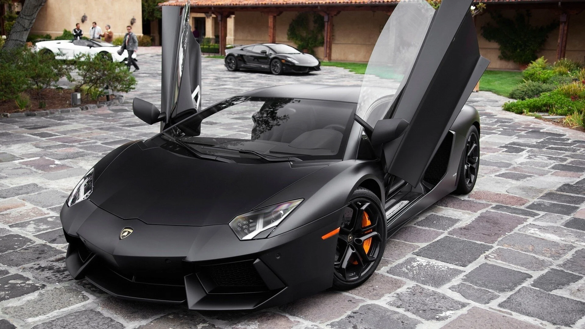 DYNOblackmatte